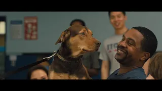 A Dog's Way Home - Go To Work Clip - At Cinemas January 25