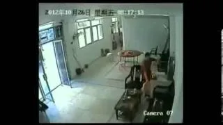 Wild Boar Tries To Kill Chinese Worker. Animal vs People