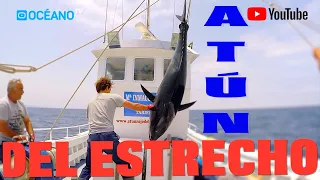 Atún del Estrecho, Documental donde veremos todo el proceso del atún rojo del Estrecho.