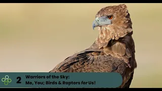 Me, You, Birds & Raptors for Us