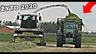 ☆ŻYTO Na Kiszonke 2020☆John Deere daje w palnik☆☆x2 Zetor☆Claas☆New Holland☆