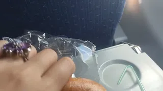 Onboard meal Uzbekistan airways. Way to Almaty. Еда в самолёте Узбекских авиалиний. Летим в Алматы.