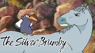 The Silver Brumby - Arrow Makes a Friend (HD - Full Episode) | Cartoons For Kids