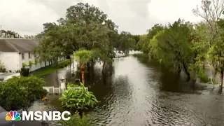 Floridians assess the damage from Hurricane Idalia’s ‘strong winds’ as it barrels towards GA and SC