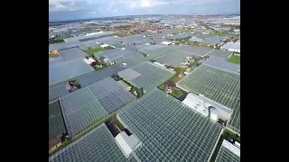 Could indoor farming help address food shortages?