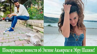 Шокирующие новости об Энгине Акьюреке и Эбру Шахине!