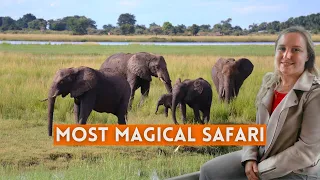 One of the World's Best Safaris in Chobe National Park, Botswana | Africa Adventure Vlog 3
