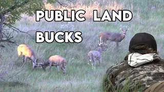 "I Can't See My Pins!" | South Dakota Public Land Bow Hunting