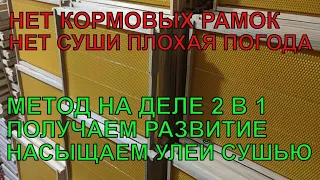 КАК ПЧЁЛЫ ОТСТРОИЛИ ВОЩИНУ что делать если нет кормовых рамок нет суши и плохая погода ✅☝️🐝