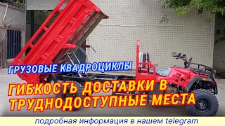 Особенности грузовых квадроциклов  мощность и надежность #грузовыеквадроциклы