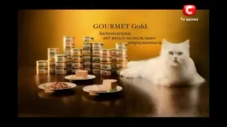 (REUPLOAD) Purina Logo with Gourmet Gold (Ukraine Version)