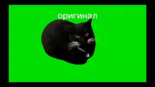 мемы на разных скоростях