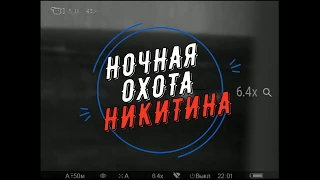 Охота на лис. Night Fox hunting.