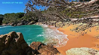 Tranquil Bay: Azure Waters and Sunlit Serenity