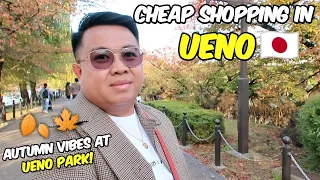 Cheap Shopping in Ueno + Autumn Vibes Stroll at Ueno Park! | JM BANQUICIO