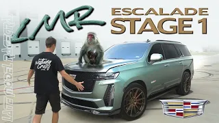 655 RWHP Stage 1 Escalade V- Late Model Racecraft