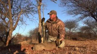 338 Lapua Vs. Common Duiker