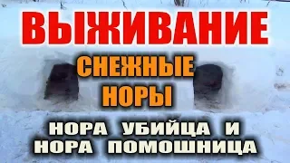 ДОМ ИЗ СНЕГА СНЕЖНАЯ ПЕЩЕРА СНЕЖНАЯ НОРА. УКРЫТИЕ ЗИМОЙ ИЗ СНЕГА Выживание зимой в лесу. Бушкрафт.