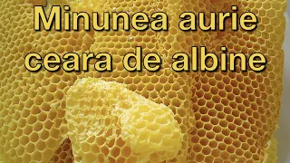 Beeswax - The golden miracle! Eliminate poisons and infections!