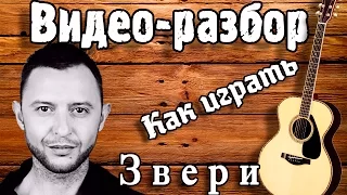 Как играть Звери - Я с тобой разбор, урок на гитаре. Звери Если ты скажешь да - видео разбор