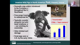 Invasive wild pigs in North America: past, present, future