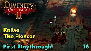 Kniles the Flenser - Divinity Original Sin 2 - Multiplayer Gameplay