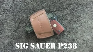 Gun cleaning Sig Sauer P238