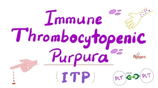 Immune Thrombocytopenia (ITP) — Most COMPREHENSIVE Explanation — Hematology