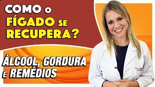 Como o Fígado se Recupera do Álcool, Gorduras e Remédios [CUIDADOS E DICAS]