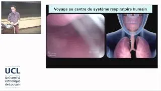 2. L'anatomie respiratoire: de la bouche aux alvéoles pulmonaires