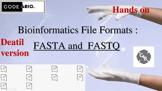 Bioinformatics - File Formats Part-1| FASTA vs FASTQ | HANDS ON | NGS | LINUX | BEGINNER |