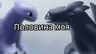 Дневная фурия и беззубик половина моя (заказ)