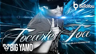 Big Yamo Ft. Calle 13 - Tocarte Toa (Mashup)