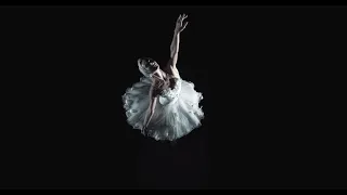 #ANightAtTheBallet - "The Dying Swan" performed by Christine Shevchenko