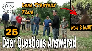 25 Advanced Deer Hunting And Habitat Strategies