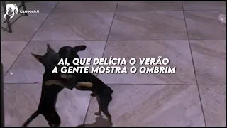 aí que delícia o verão, a gente mostra o ombrim e brinca no chão [ LETRA/LEGENDADO] [TikTok]