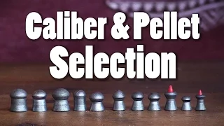 Caliber & Pellet Selection | AB101 Pt. 7