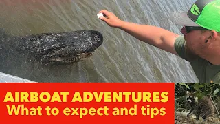 New Orleans Airboat Alligator & Swamp Tour 🐊