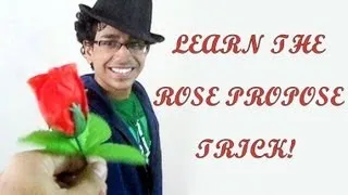 Rose Magic Trick Tutorial - Valentine Proposal