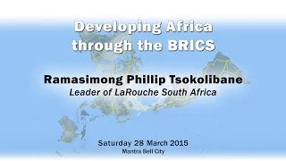 Panel 4 - Developing Africa through the BRICS - Ramasimong Phillip Tsokolibane