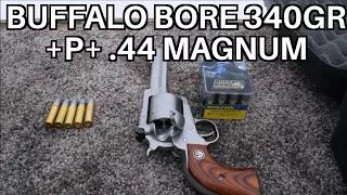 44 Mag Buffalo Bore 340 grain +P+