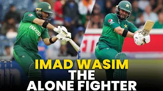 Imad Wasim Alone Fighter | New Zealand vs Pakistan | PCB | MA2L