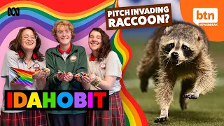 IDAHOBIT Explained & A Rogue Raccoon