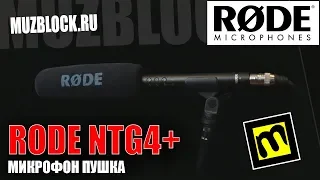 Rode NTG4+ - обзор и демонстрация микрофона
