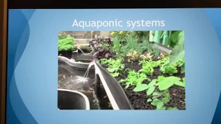 Aquaponics system Feeding the world