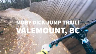 MOBY DICK JUMP TRAIL! | Valemount, BC