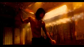 Ninja Assassin  - The Animal