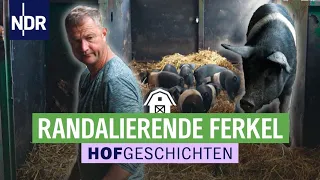 So süß, so viel Arbeit: Karsten Dudziak im Ferkel-Stress | Die Nordreportage: Hofgeschichten (185) |