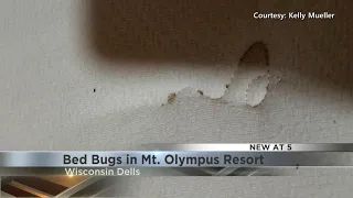 Woman Discovers Bed Bugs at Mt. Olympus Resort