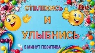 5 МИНУТ ПОЗИТИВА!  ОТВЛЕКИСЬ И УЛЫБНИСЬ!